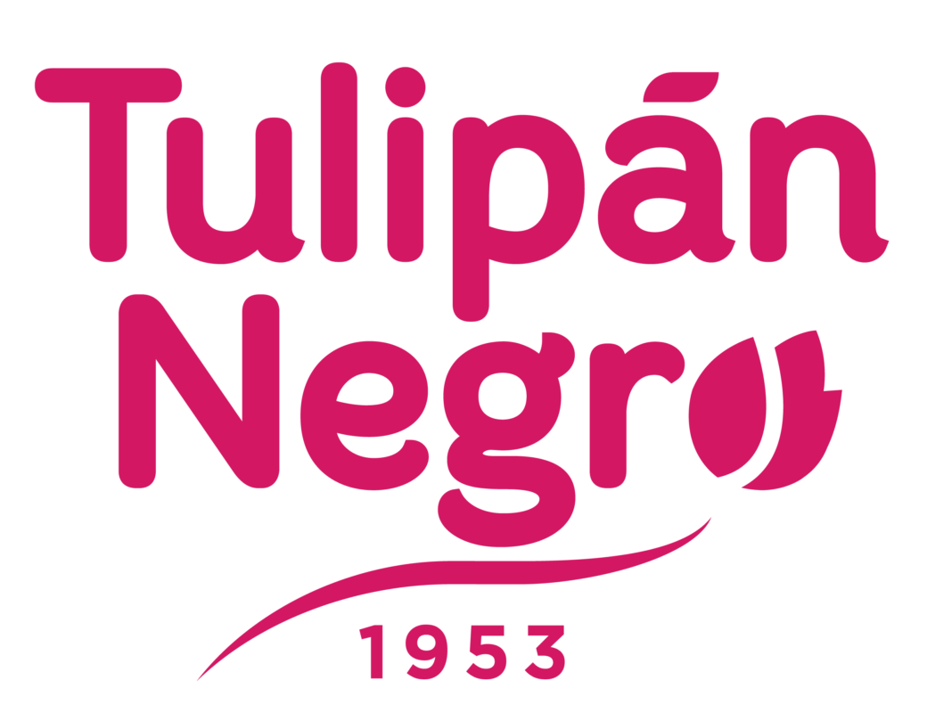 Tulipan negro